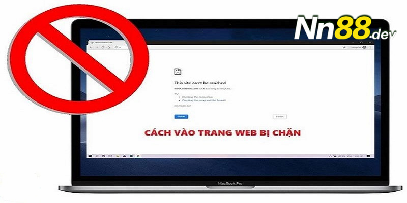 Thông tin về trang web trò chơi chọi gà Sin88 - Sin88